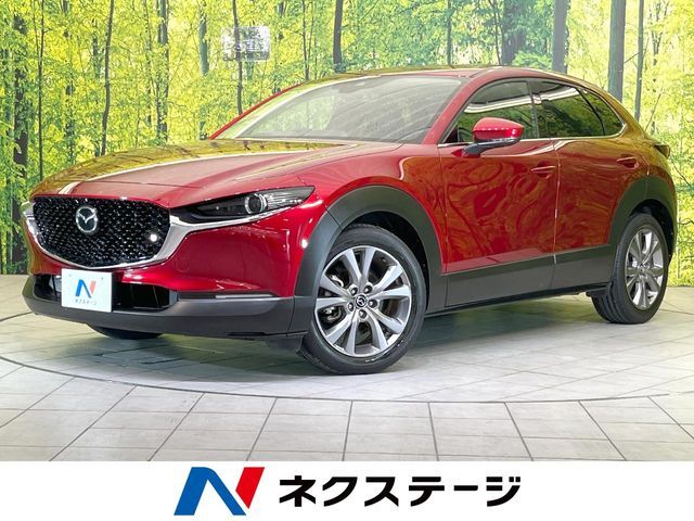 全周囲カメラ　衝突被害軽減システム　レーダークルーズ　禁煙車