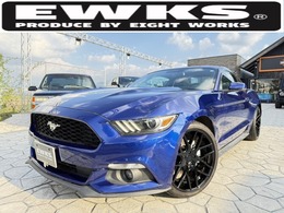 フォード マスタング 50イヤーズ エディション ロハナ20AW