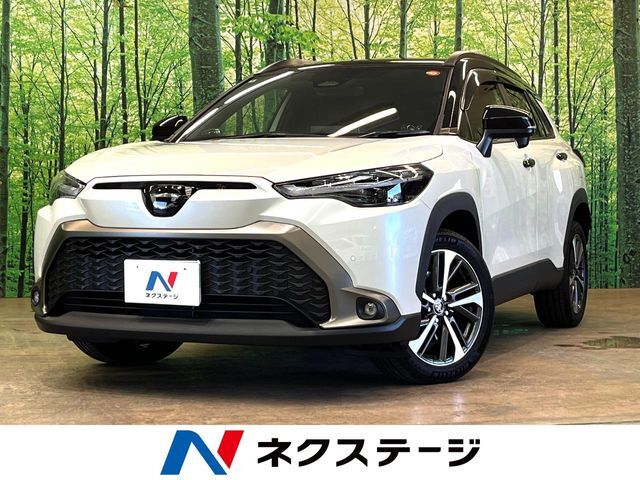 パノラマルーフ　純正10.5型ナビ　BSM　衝突被害軽減システム