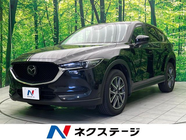 純正ナビ　レーダークルーズコントロール　ブラインドスポットモニター