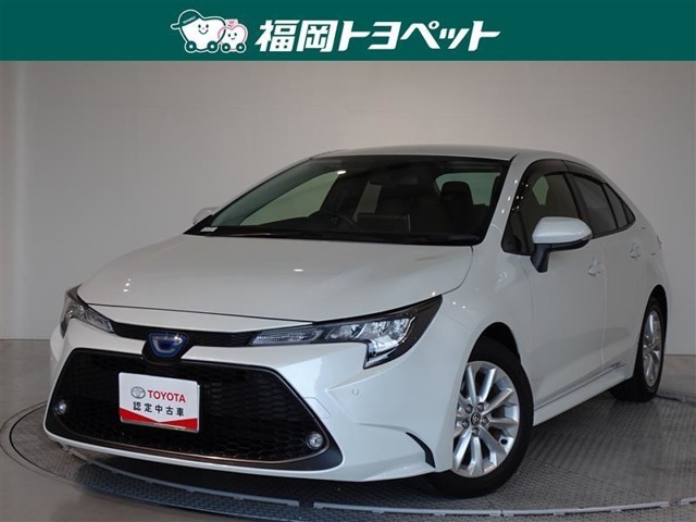 福岡県内お住まいの方に限らせていただきます。問い合わせ番号【8279398】