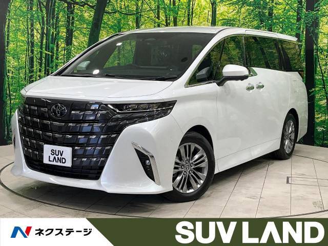 登録済み未使用車　ガラスルーフ　純正14型ナビ　全周囲カメラ　駐車支援