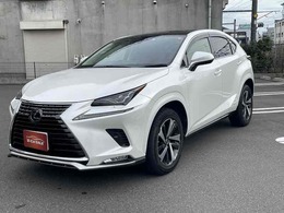 レクサス NX 300h バージョンL 全周囲カメラ　ドラレコ前後　赤革