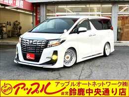 トヨタ アルファード 2.5 S Cパッケージ モデリスタ　車高調　19インチアルミ