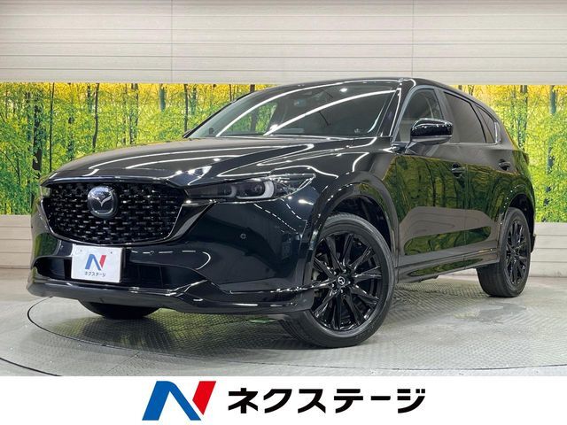 純正10.25型ナビ　全周囲カメラ　衝突軽減装置　BOSEサウンド