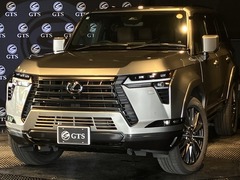 GX