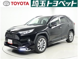 トヨタ RAV4 2.0 G Zパッケージ 4WD エアロ　プリクラッシュS