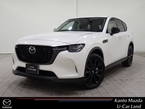3.3 XD SP ディーゼルターボ 4WD