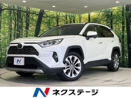 トヨタ RAV4 2.0 G Zパッケージ 4WD 純正9型ナビ　パワーバックドア　セーフテ