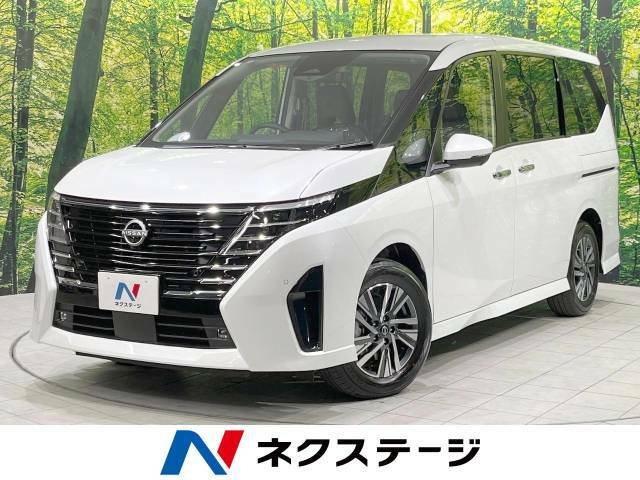 登録済未使用車　全周囲カメラ　純正ナビ　レーダークルーズコントロール