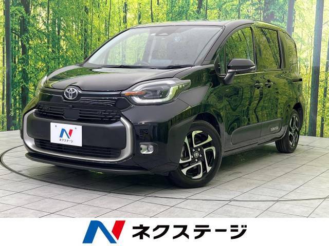 全周囲カメラ　セーフティセンス　両側電動ドア　レーダークルーズ　禁煙車