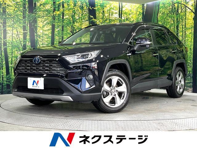 レーダークルーズ　禁煙車　電動リアゲート　ハーフレザーシート
