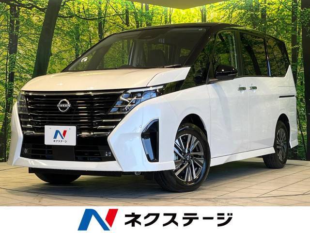 登録済未使用車　純正12型ナビ付ディスプレイオーディオ　両側電動ドア