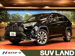 トヨタ RAV4 2.0 G Zパッケージ 4WD 4WD 純正SDナビ バックカ