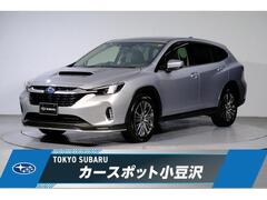 レヴォーグレイバック