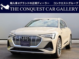 アウディ e-tron 55 クワトロ Sライン 4WD バーチャルエクステリアミラー　サイレンス