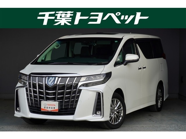 【メイン】　千葉・茨城・埼玉・東京・神奈川での登録、及びご来店いただける方への販売に限らせていただきます。