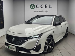 308SW