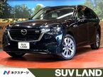 3.3 XDハイブリッド プレミアム モダン ディーゼルターボ 4WD