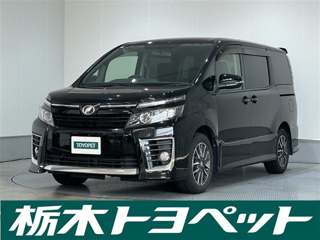 【新品未使用】最終値下げウエダキヨアキ　ポット Amazon | 【豪華】190cm 据え置き型 キャットタワー Mwpo 落下