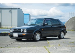 フォルクスワーゲン ゴルフ CLi フロントグリルガーニッシュ　4灯　ルーフ/