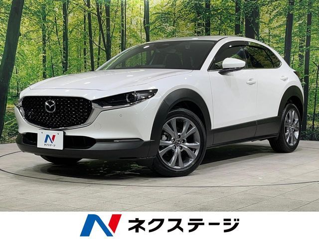 4WD　純正SD10.25インチナビ　全周囲カメラ　禁煙車　パワーシート