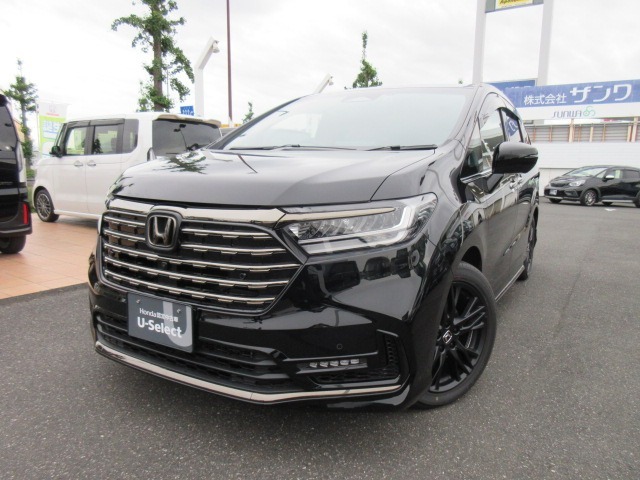 数か所軽いひょう害がございます　現車確認をお願いしております
