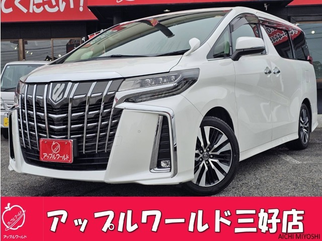 入荷しました！