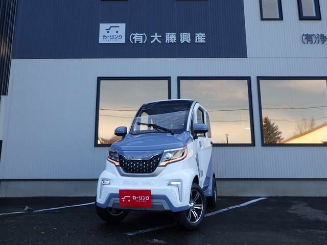 EVカー 電気自動車(ミニカー登録) ほぼ新車！