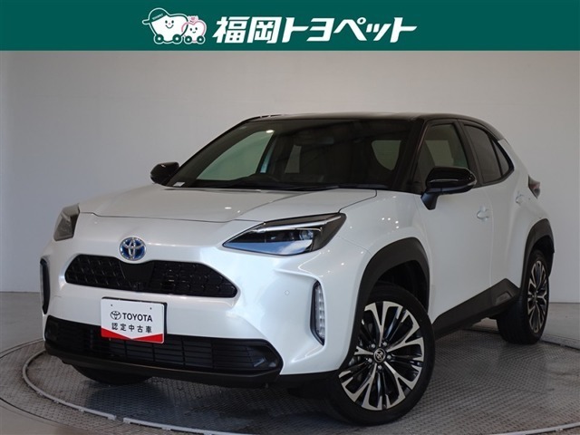 福岡県内お住まいの方に限らせていただきます。問い合わせ番号【8290758】