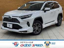 トヨタ RAV4 2.5 ハイブリッド G E-Four 4WD 10型ナビ モデリスタ 全周囲 追従クルコン