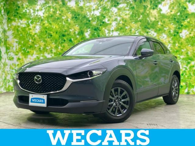 WECARS（ウィーカーズ）は全国250店舗展開！お客様が安心してカーライフをお楽しみいただけるよう社員一同心を込めてサポートいたします。