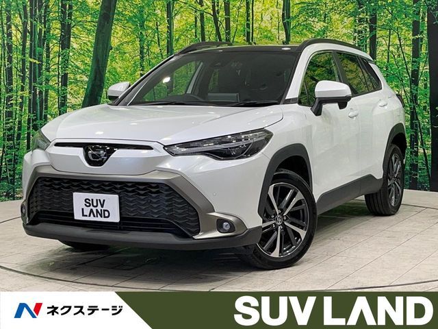 禁煙車　ガラスルーフ　純正8型ナビ　バックカメラ　電動リアゲート