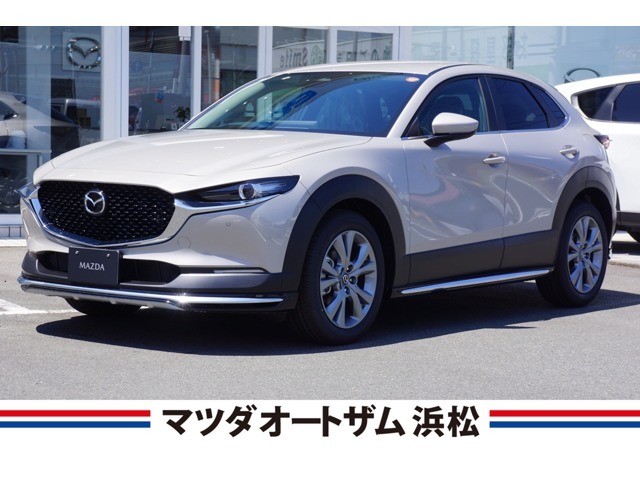 人気のデモカーです。コーティング施工済　アンダーガーニッシュ、オールウェザーマット、ETC、ナビSD付です。
