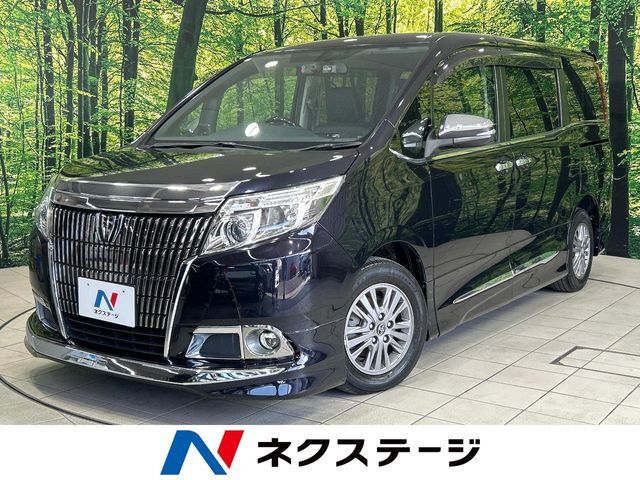 BIG-X10インチナビ　バックカメラ　両側パワースライドドア　ETC
