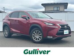 レクサス NX 300h 4WD 純正ナビ 全方位カメラ クルコン ETC