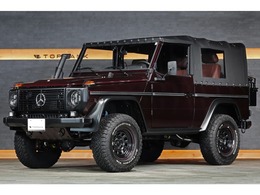 メルセデス・ベンツ Gクラスカブリオレ 250GD WOLF W461 コンバーチブル エクスペディションモータ