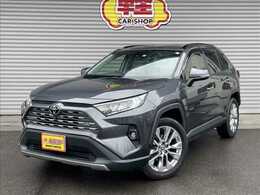 トヨタ RAV4 2.0 G Zパッケージ 4WD エントリーナビキット・ETC・Dレコ前後