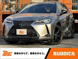 レクサス UX UX200アーバンエレガンス 10.3型ナビ パノラミックビューモニター