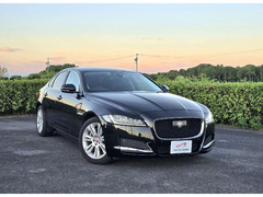 XF