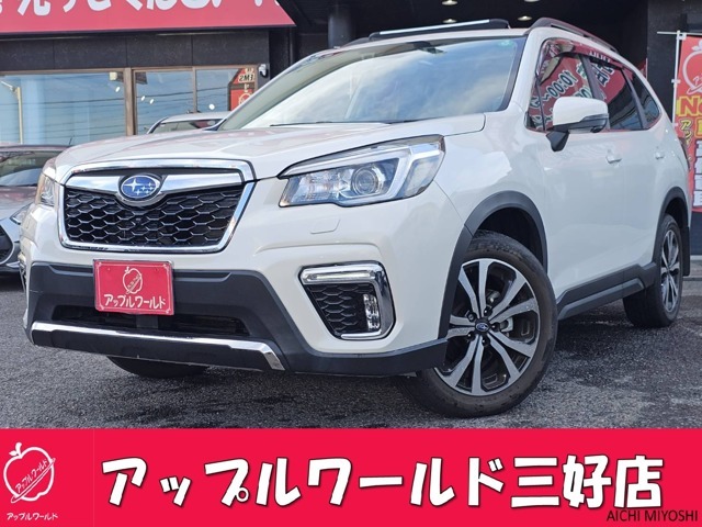 入荷しました！