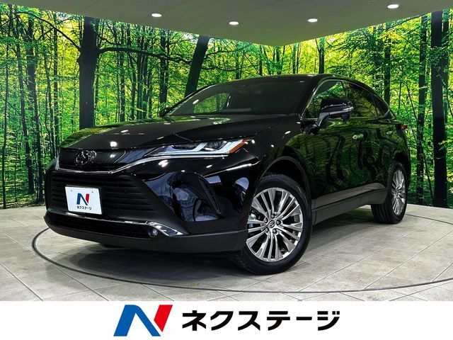 純正12.3型DA　バックカメラ　JBLサウンド　レーダークルーズ