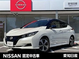 日産 リーフ X Vセレクション コネクトナビ　プロパイロット　全方位カメ