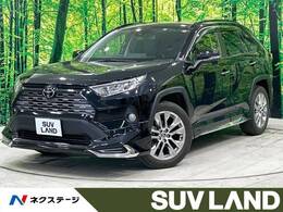 トヨタ RAV4 2.0 G Zパッケージ 4WD モデリスタ サンルーフ BIGX9型ナビ