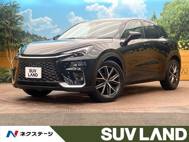 純正9型ディスプレイ　マークレビンソン　全周囲カメラ　BSM