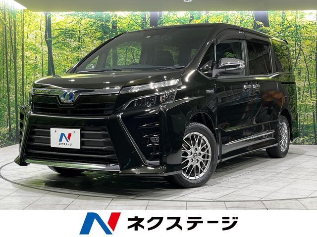 【8/8～8/17限定価格】