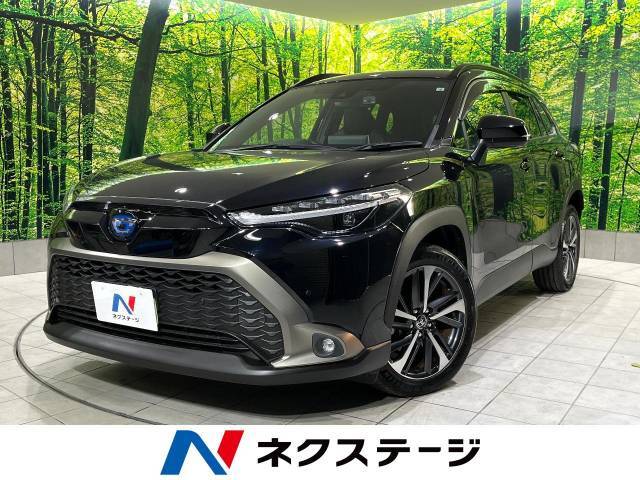 純正9型ナビ　全周囲カメラ　禁煙車　衝突軽減装置　電動リアゲート　ETC