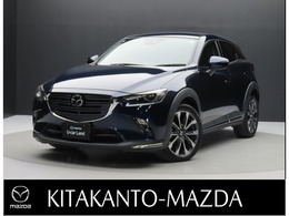 マツダ CX-3 2.0 20S プロアクティブ Sパッケージ ナビ フルセグTV 360°モニター パーキング