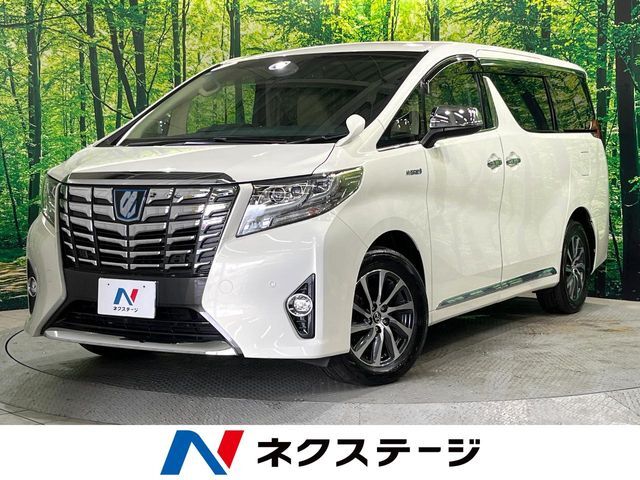 フリップダウンモニター　両側電動ドア　パワーバックドア　純正ナビ