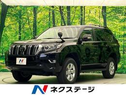 トヨタ ランドクルーザープラド 2.7 TX 4WD サンルーフ BIG-X9型ナビ バックカメラ ETC